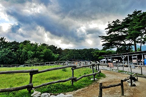 那須高原 南ヶ丘牧場